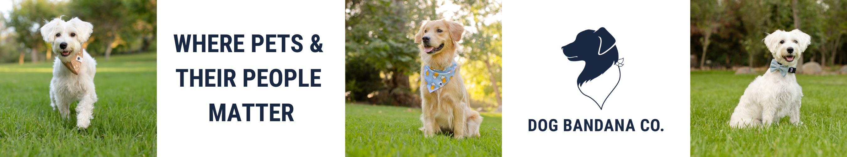 Dog Bandana Co.