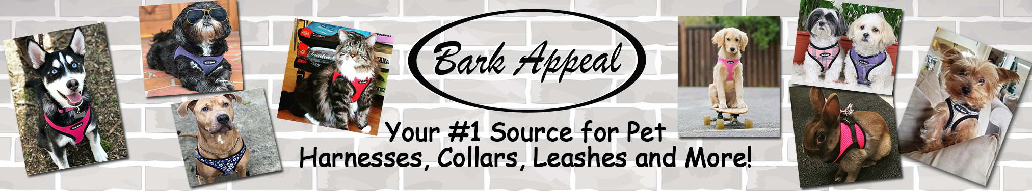 Bark Appeal