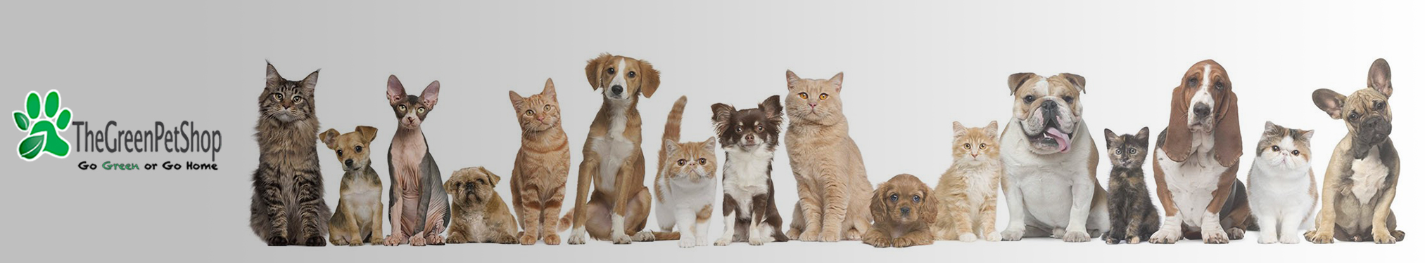 Green Pet Shop