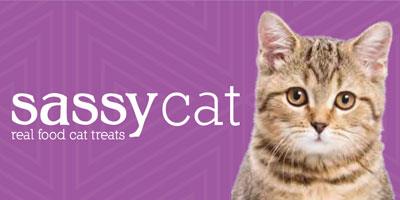 Sassy Cat