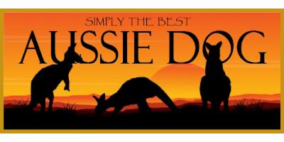 Aussie Dog