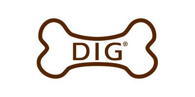 DIG Inc