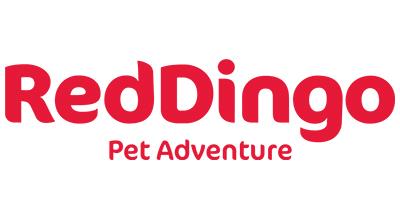 Red Dingo, Inc.